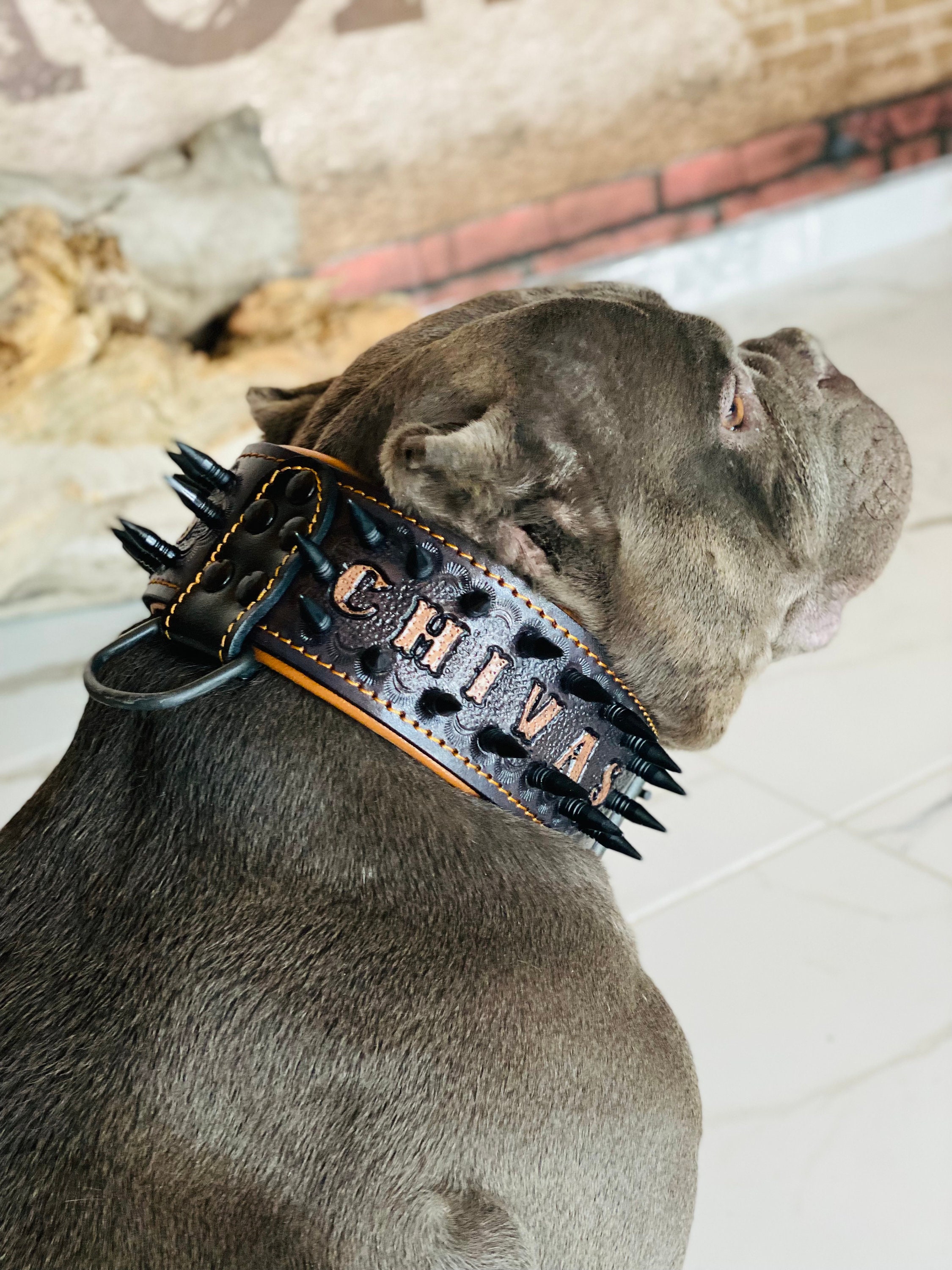 Handmade Personalized Leather Dog Collar With Spikes & Custom Name - Strength Prestige For Large Breeds