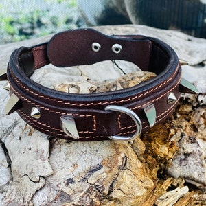 Handmade Leather Dog Collar: Personalized Engraved Name Plate