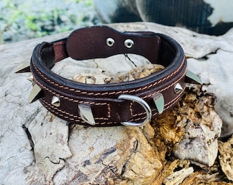 May include: A brown leather dog collar with silver spikes and a silver D-ring.