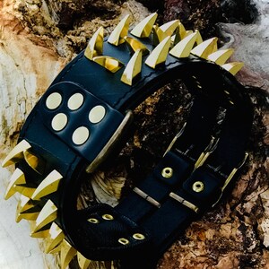 May include: Black leather dog collar with gold spikes and metal buckle.