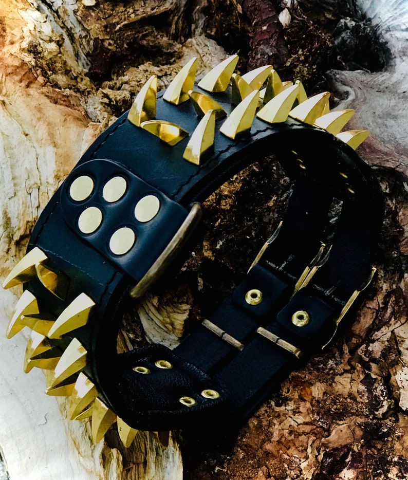 May include: Black leather dog collar with gold spikes and metal buckle.