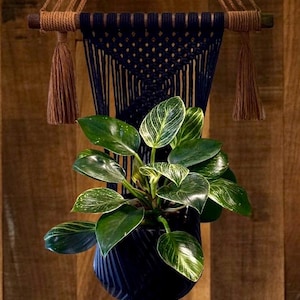 Handmade Wall Mounted Macrame Plant Hanger – Boho Home Decor, Indoor Planter
