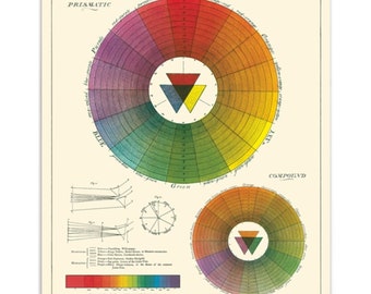 Cavallini & Co Color Wheel School Chart - Wall Poster