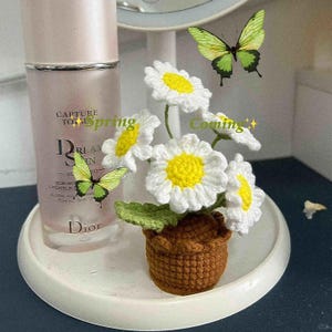 Virkmönster med daisy-kruka, virkmönster med blommor och växter, mini-daisy-heminredning, amigurumi i PDF-format på engelska, kawaii plyschleksak med daisy-kruka bild 3