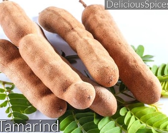 Tamarind Pods, Tamarind Whole, Sour & Sweet Tamarind, 100% Pure Organic fresh healthy dietary Tamarind with Seeds, Imli, Imli Beej