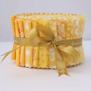 Jelly Roll yellow, pink, black, red , green , purple , blue ... - 20pcs 2.5&quot; x 42&quot;,