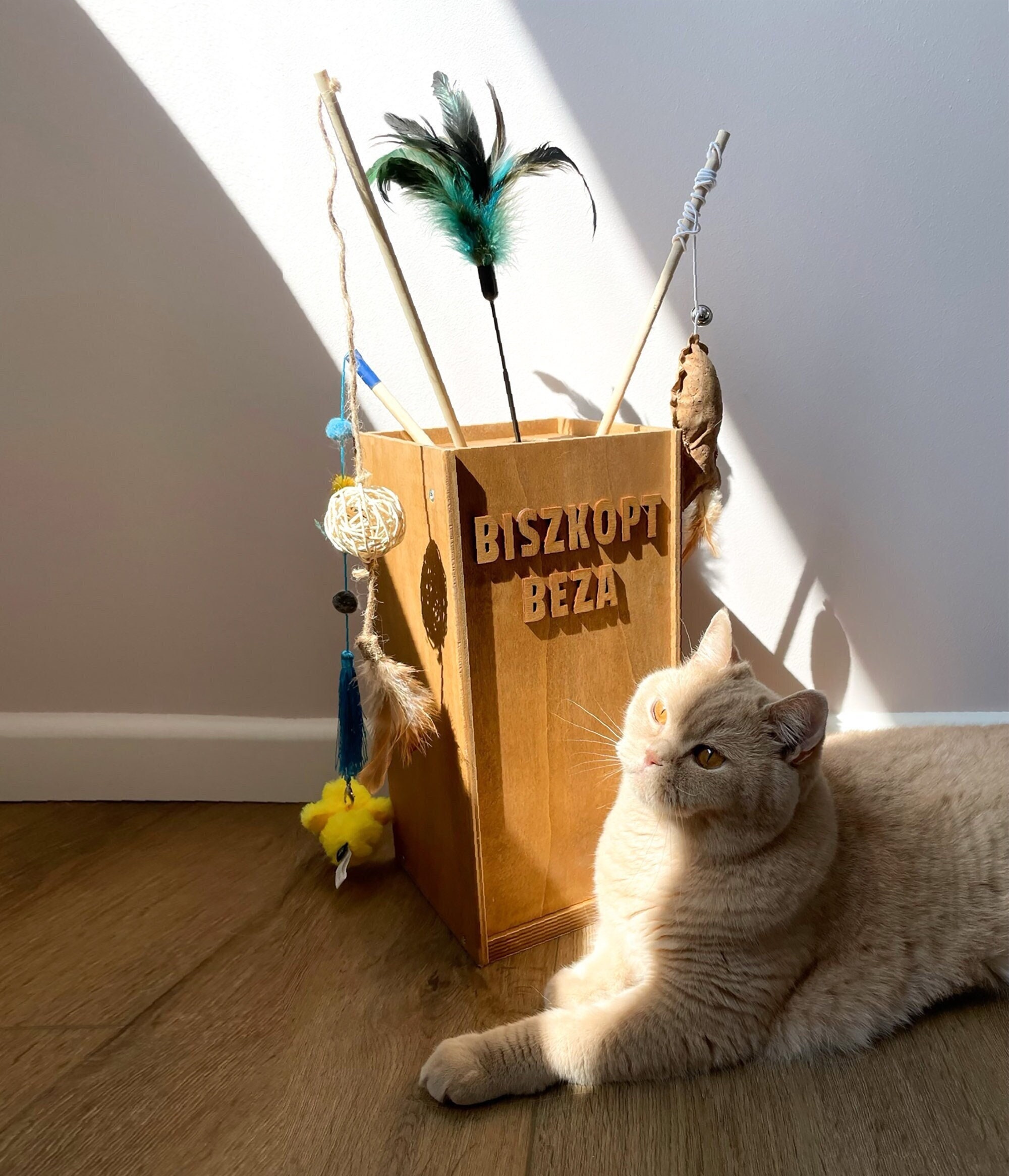 Fishing Pole Cat Toy -  UK