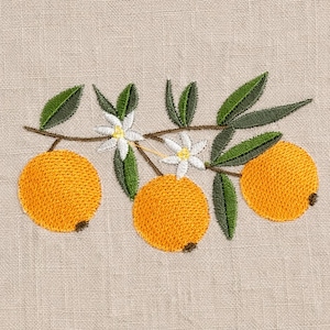 Rama de naranja, 3 tamaños, diseños de bordado a máquina