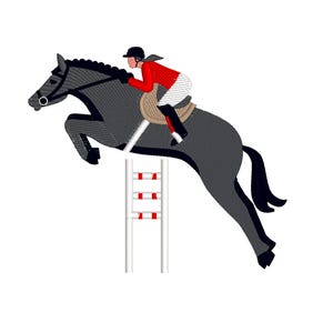horsewoman, woman riding horse, Showjumping Horse and Rider, machine embroidery designs 4 sizes, instant download