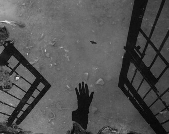 FREE?- Black & White Abstract Fine Art Photography Home Wall Decor, Museum Quality Photo Art Print