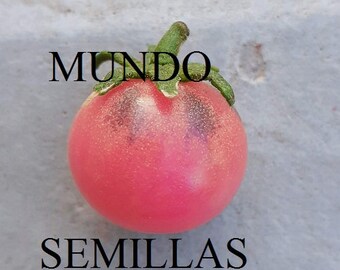 Cherry cherry cherry tomato 20 seeds - seeds garden garden