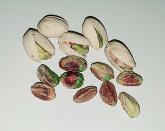 15 graines de pistache (Pistacia vera) - Graines fraîches pour pistachier, jardin, verger