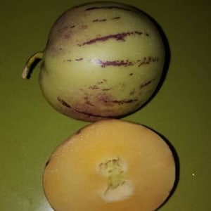 Puede incluir: Un melón pepino entero y uno cortado por la mitad. El melón entero es de forma ovalada, con piel verde claro y rayas moradas oscuras. El corte revela una pulpa de color amarillo pálido con una cavidad central con semillas.