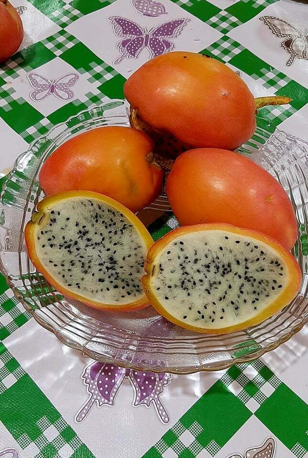 Pitaya pitaya Cereus Stenogonus fruta comestível 30 sementes Pitahaya