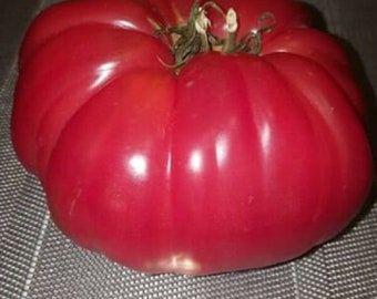 Tomate gigante rosa 30 semillas - seeds