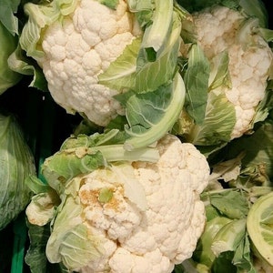 CAVOLFIORE EARLY SNOWBALL 300 semi - semi