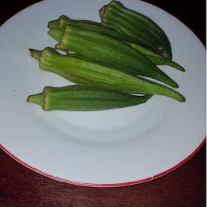 Okra - Abelmoschus esculentus - Okra - 70 Seeds for Garden and Vegetable Garden - Seeds for Planting at Home - Against the Tuta