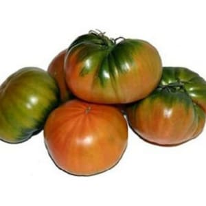 Könnte beinhalten: Eine Gruppe von fünf Erbstücktomaten, einige grün und einige rot, mit einer gefleckten grün-roten Haut.