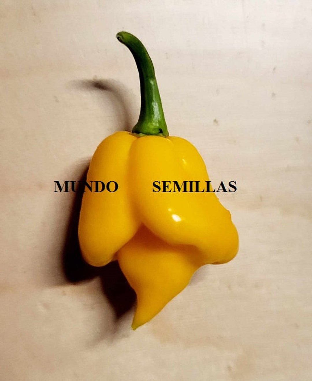Carolina Reaper amarillo ( oficialmente el chilli más picante del mundo ...