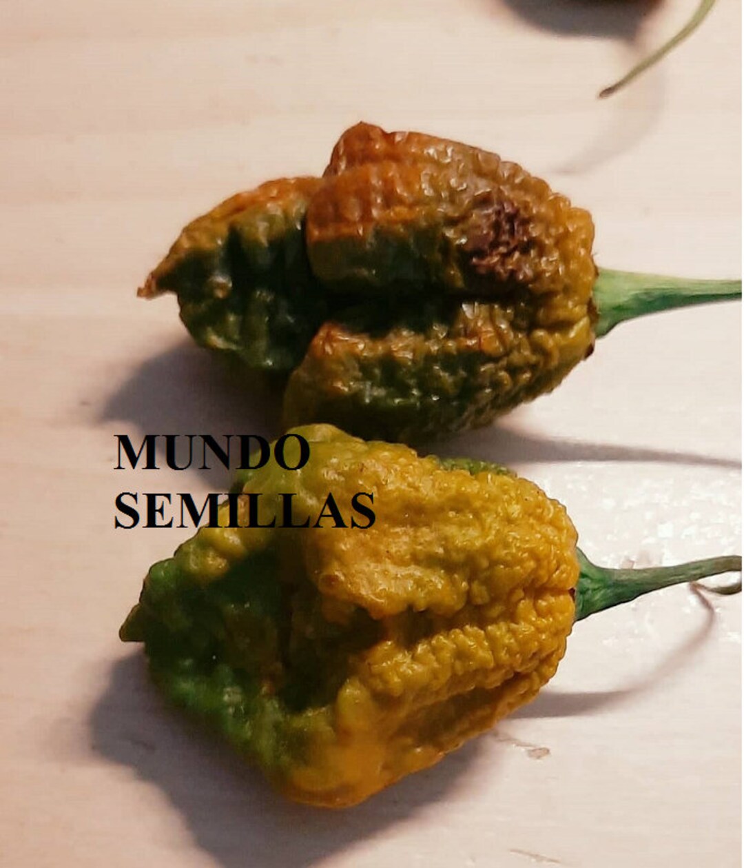 Pepper X Unofficial Record of Spiciest Chilli 15 Very Etsy Canada