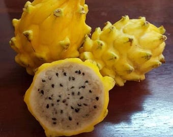 ドラゴンフルーツ、ピタヤ、ピタヤをご注文に応じてカット。お好みの
