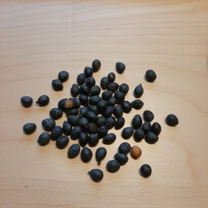 May include: A close-up of a pile of dark blue seeds on a light wood surface.