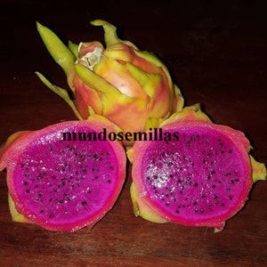 Puede incluir: Dos mitades de fruta de dragón rosa con semillas negras, y una fruta de dragón amarilla entera con escamas verdes. El texto "mundosemillas" es visible en la imagen.