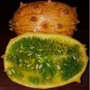 Cucumis metuliferus - Kiwano - African cucumber 30 (seeds) seeds