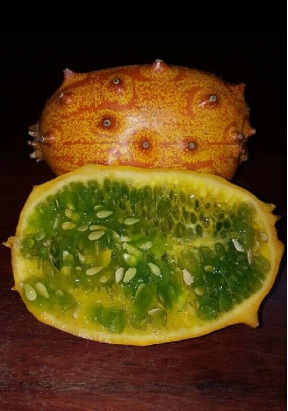Kiwano African Cucumber - Exotic Seeds Of Cucumis Metuliferus In A 0.2g - Foto 5