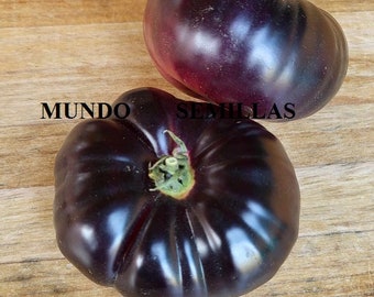 Tomate MORADO gigante  ( purple beauty ), sabor muy bueno ,  15 semillas seeds huerto jardin