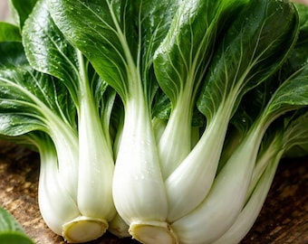 300粒 パクチョイ種子 – 白菜 | 白菜 | 非遺伝子組み換え野菜の種子 | 成長の早いアジアングリーン