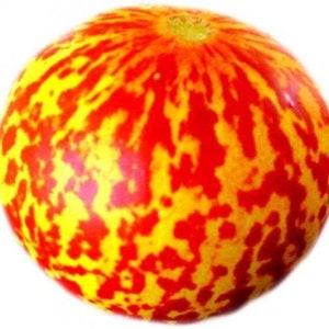 Tiger Melon 10 seeds fresh seeds garden orchard edible