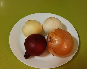 Onion mixes colors and flavors 500 seeds - seeds - garden garden