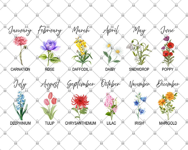 Korean Birth Flower Chart Bilarasa Korean Birth Flower Chart Bilarasa