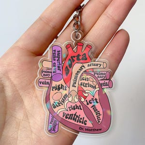 Anatomical Heart Keychain, Medical Student Gift, Anatomy Lover Acrylic Keychain, Cardiologist Gift,Doctor Name Custom Keyring,Gift For Nurse