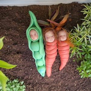 May include: A whimsical arrangement featuring three baby dolls nestled in a green pea pod and two carrot-shaped forms. The dolls have closed eyes and are surrounded by greenery and soil, creating a miniature garden scene.