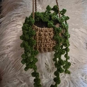 May include: A handmade crochet hanging planter with a brown pot and green, cascading plant. The pot is suspended by a woven brown cord. The plant has small, round leaves. The planter is displayed against a white, fluffy background.