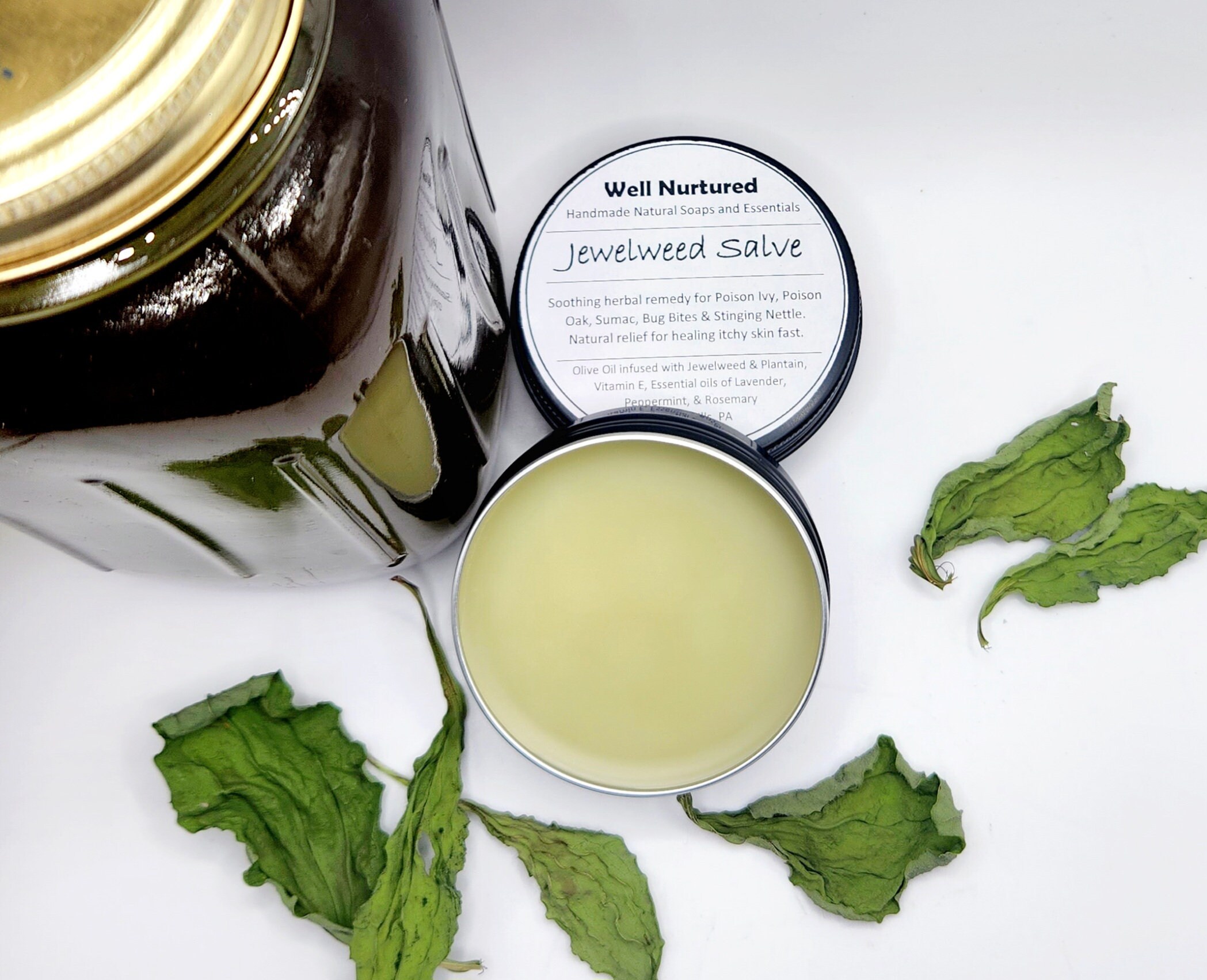 Goodbye Poison Oak! This Simple Ointment Could Save Your Summer - ijg6j21