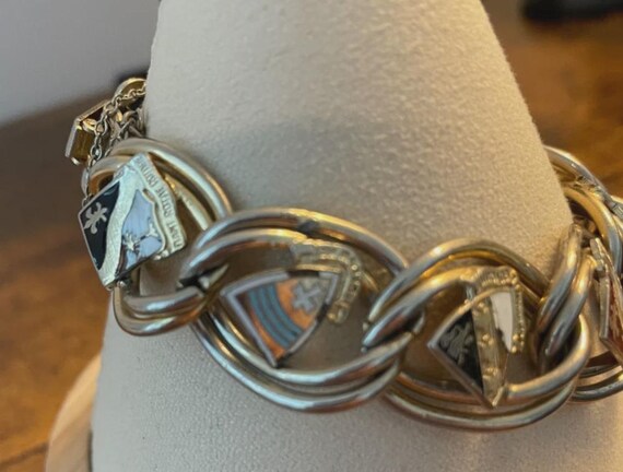 Multiple Shield Shaped Links Each Containing a HE… - image 2