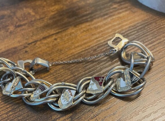 Multiple Shield Shaped Links Each Containing a HE… - image 4