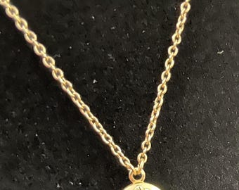 1928 15" GOLD Tone Chain With 1/2" LOCKET PENDANT , Enamel Roses