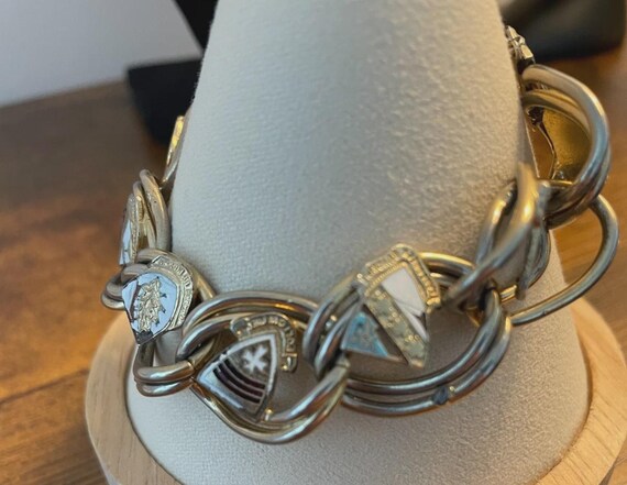 Multiple Shield Shaped Links Each Containing a HE… - image 3