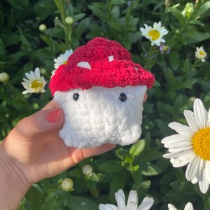 Handmade Crochet Small Mushroom Plush | Crochet Plush | Crochet | Aesthetic | Stress Toy | Homemade Decor