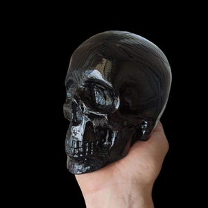 Peut inclure: Une sculpture de crâne noir brillant avec des détails précis. Le crâne est présenté sur un fond noir, mettant en valeur sa surface polie et le design complexe du crâne et de la mâchoire.