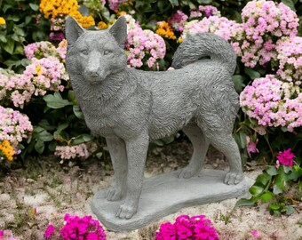 Massive Siberian Husky statue Standing Siberian Husky figurine Concrete outdoor dog memorial figure