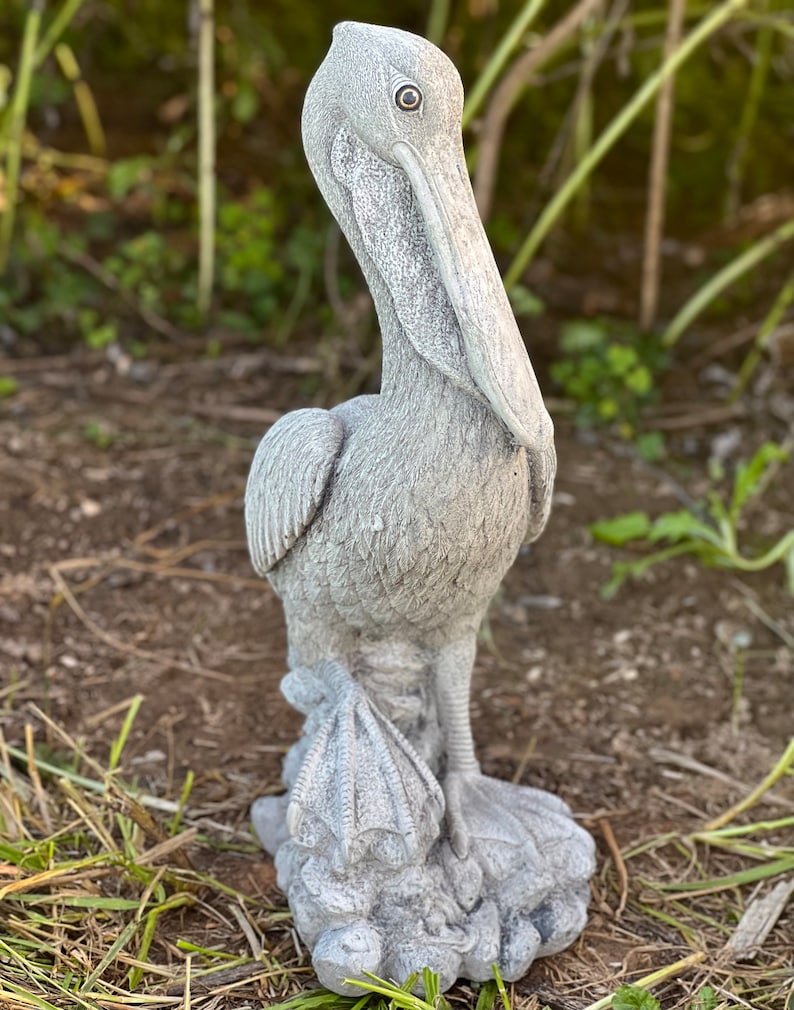 Stone Pelican Statue Concrete Pelican Sculpture Garden Bird Etsy