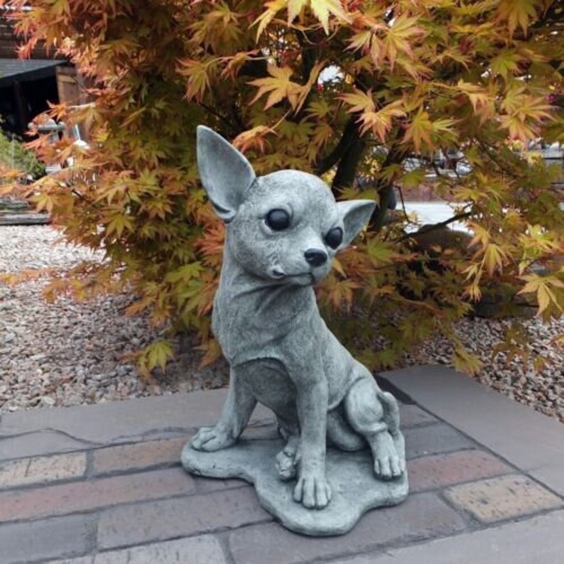 Realistic Chihuahua Statue Outdoor Garden Chihuahua on Etsy