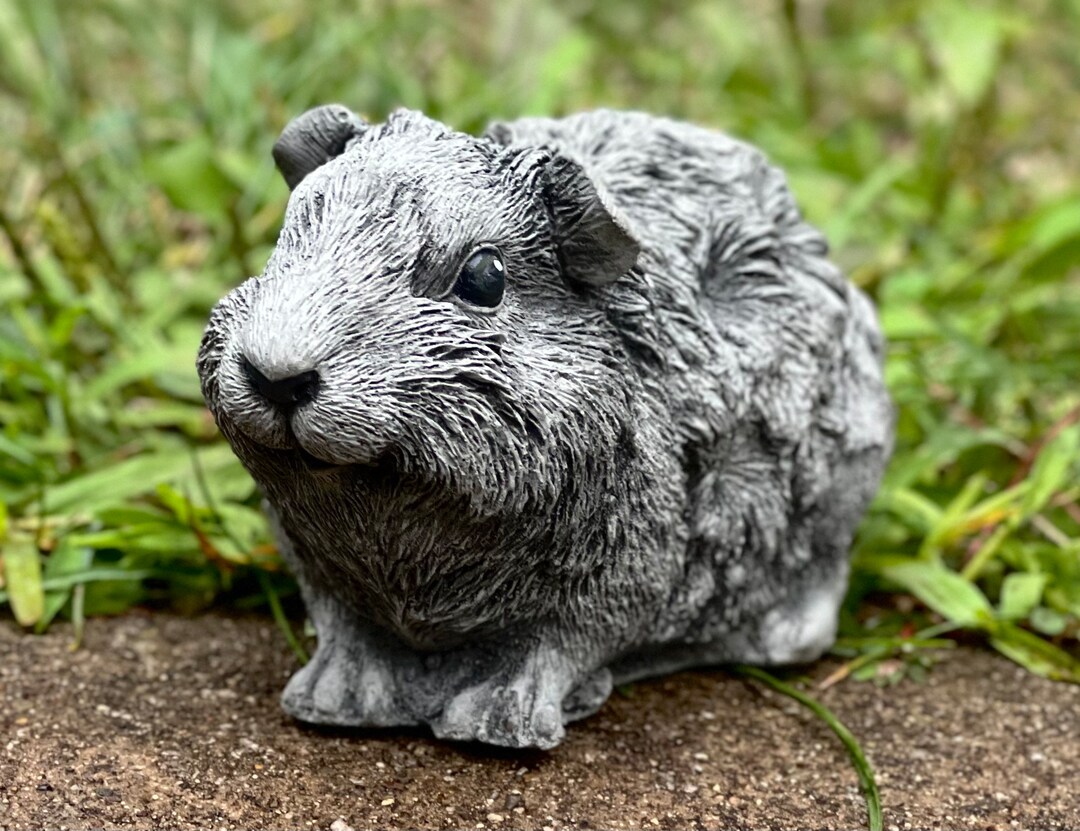 Guinea Pig Figure Garden Statue Concrete Backayard Decor Guinea Pig