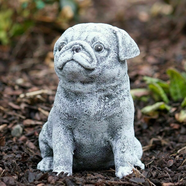 Concrete Pug Statue Etsy