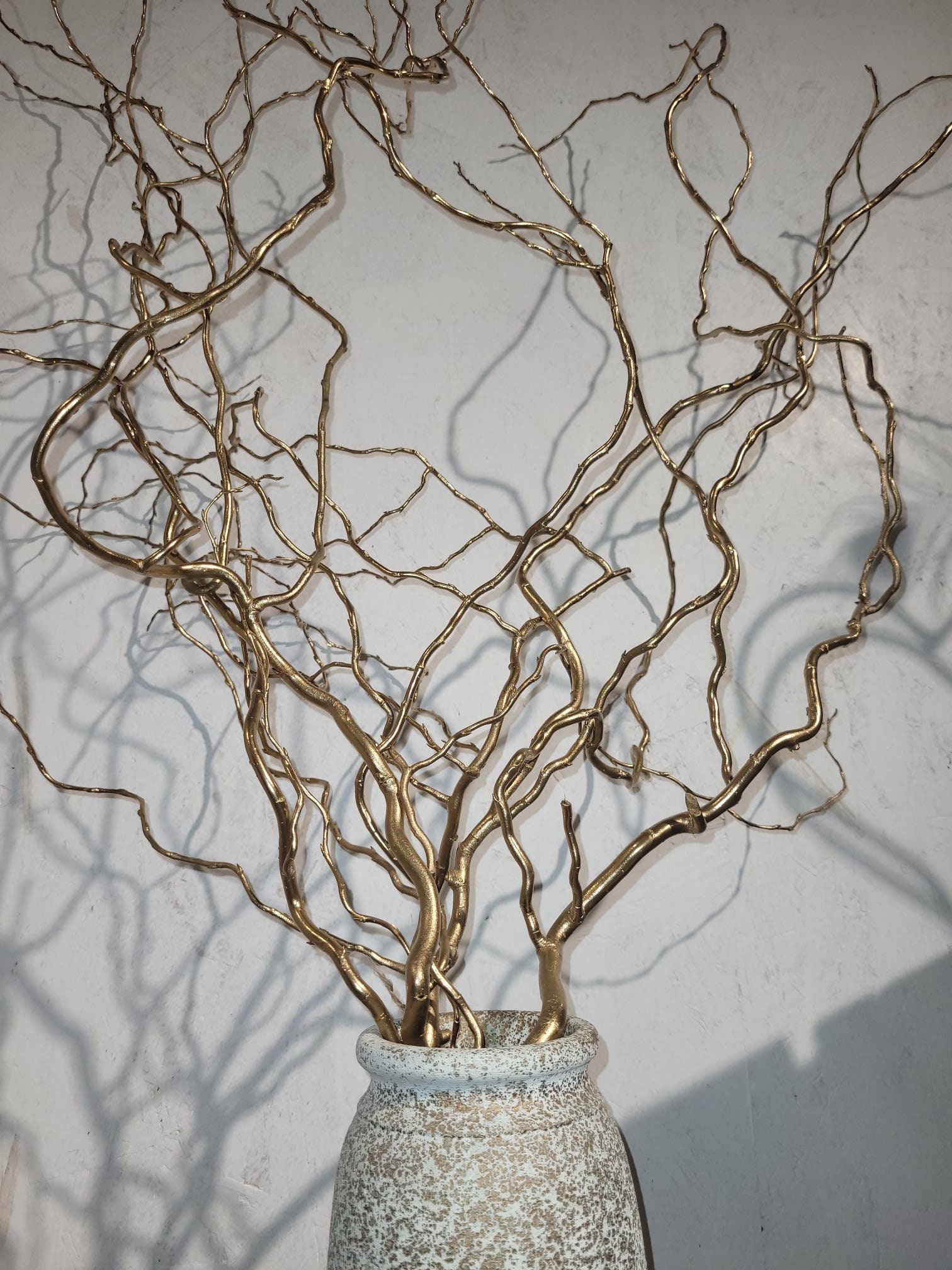 Saule bouclé, saule tortueux, saule frisé, salix tortuosa, décoration doré 100cm, curly willow